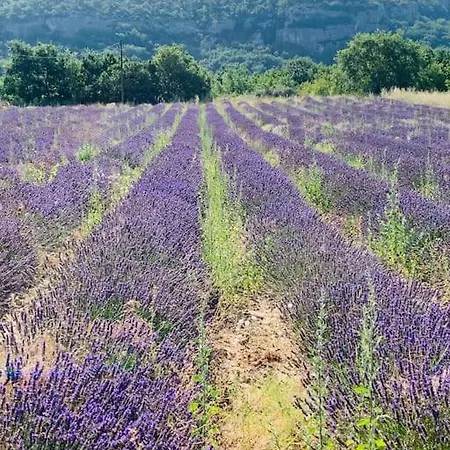 Havre De Paix Sur Roussillon Villa *